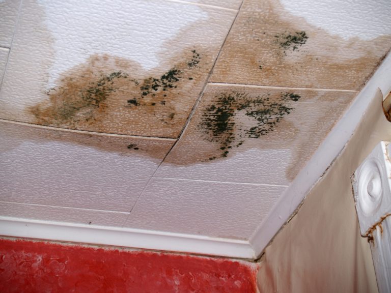 Water damage and mold on a ceiling