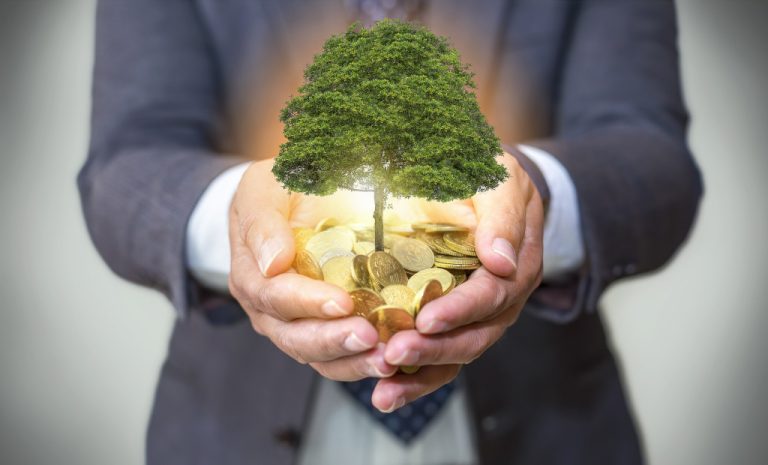 A businessman holding tree and coins